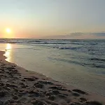 Czemu Nie Sianożęty