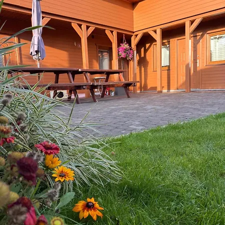 Czemu Nie Sianożęty