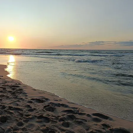 Czemu Nie Sianożęty