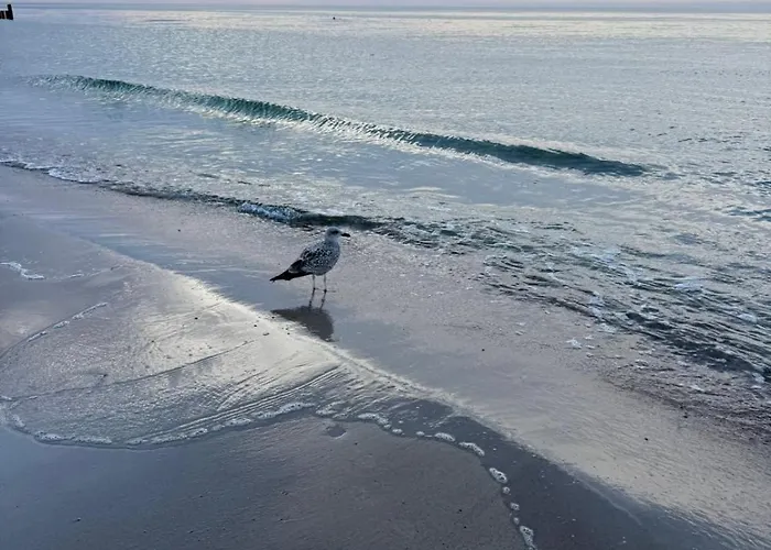 Parque de vacaciones Czemu Nie *