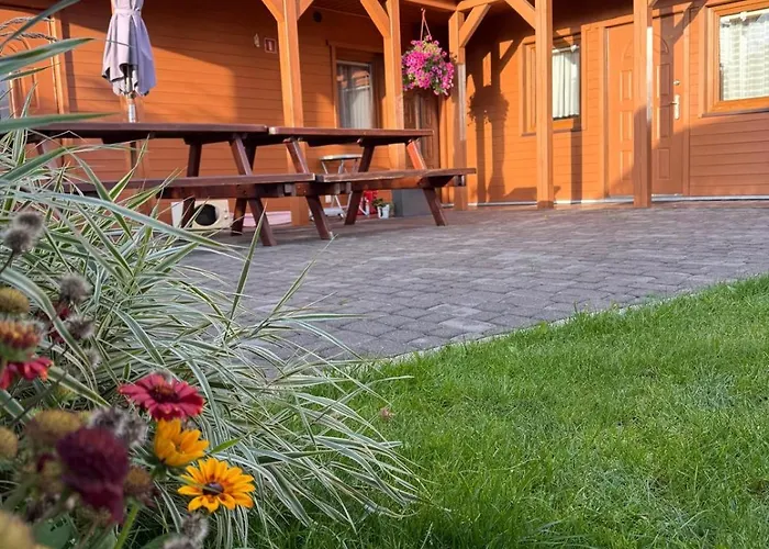 Czemu Nie Sianożęty