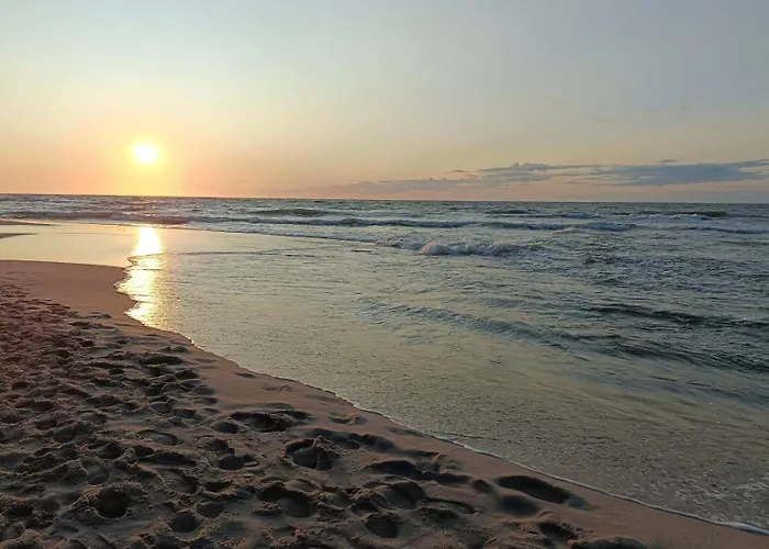 Czemu Nie Sianożęty